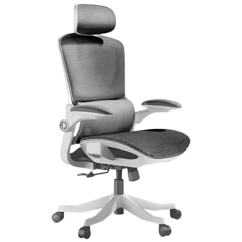 Hbada/�ڰ׵� P2 Pro ������/�� �޽��� 549.95Ԫ(������)