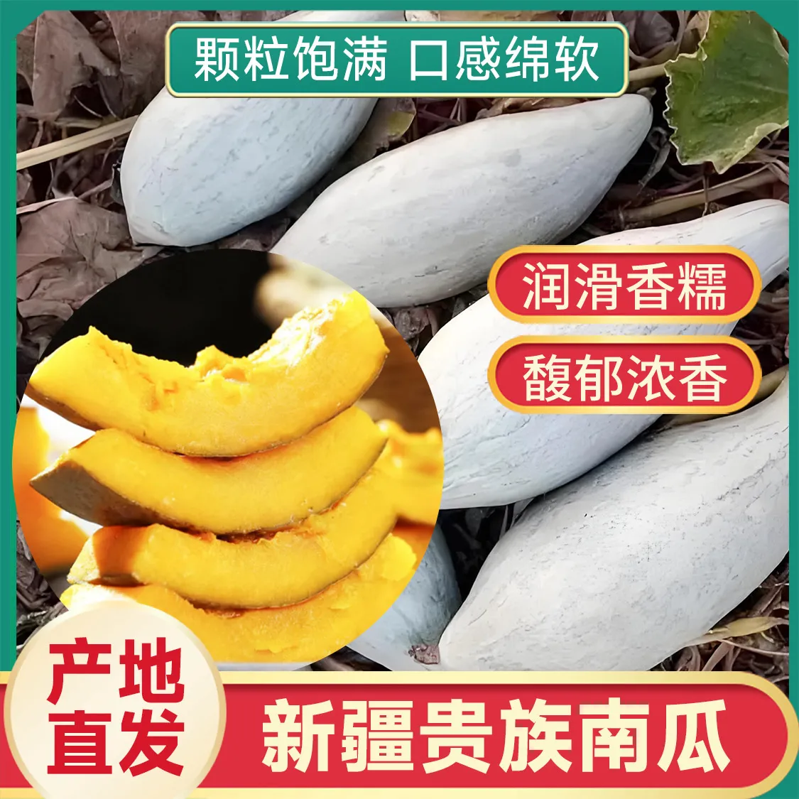 新疆贵族南瓜丑瓜非转基因贵妃南瓜南瓜瓜王软糯甜面老瓜 净重2斤体验装