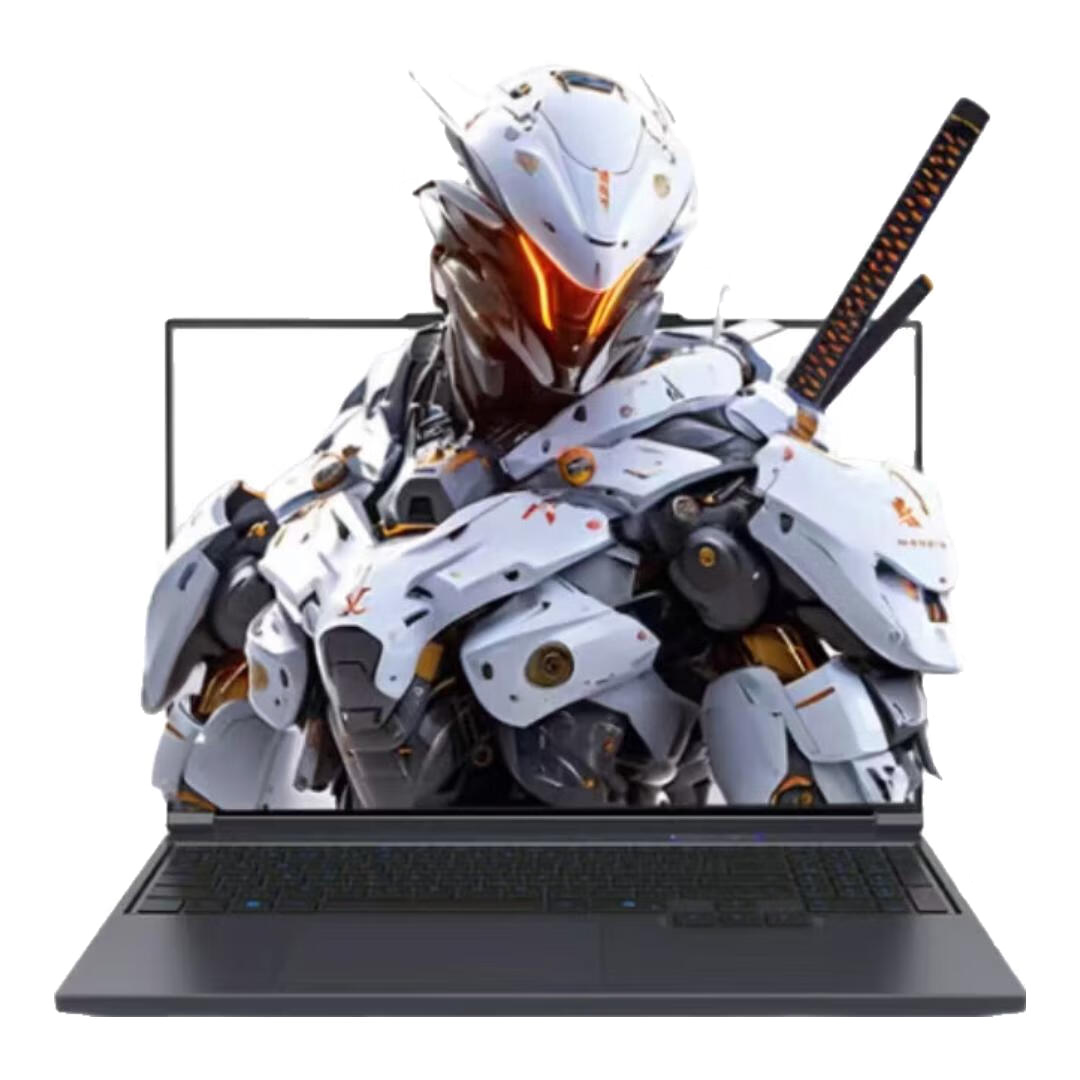 机械革命(MECHREVO)极光X酷睿13代i7HX/RTX5060满血8G显卡16英寸高刷2.5K轻薄电竞游戏笔记本AIPC电脑16核独显直连 极光X i7 13700HX/16吋/5060/16G/1T灰