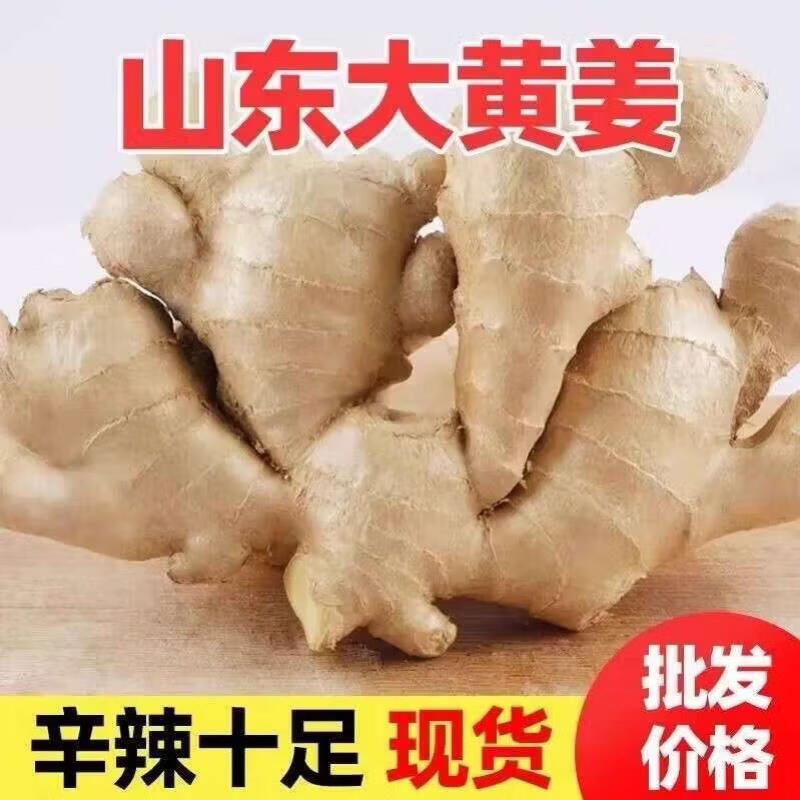 新鲜大姜山东大黄姜新鲜生姜水洗干姜老姜嫩姜现挖土姜月子姜 山东大姜3斤净重