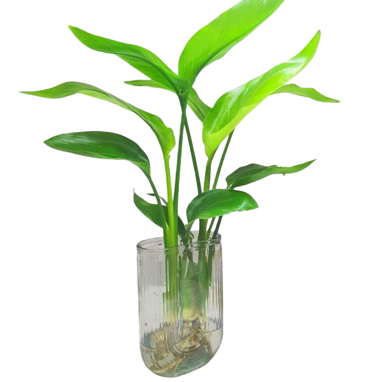 �ֻ��� ��Ʒˮ��������20-30����1�ò���ƿ 5.17Ԫ