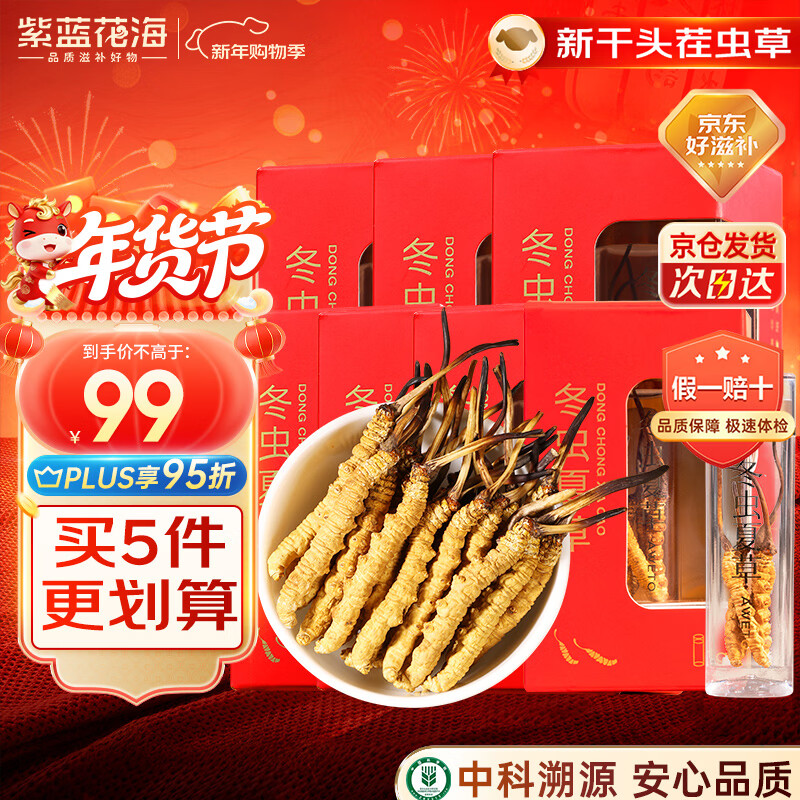 紫蓝花海冬虫夏草 3-4根/g 1g 新干高品质虫草滋补品尝鲜【健康礼盒】