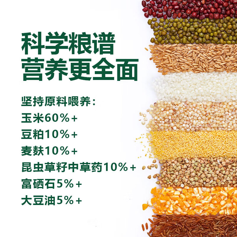 土满鲜皖南公鸡1.8斤林下跑山土鸡真散养三黄鸡整只红烧鸡肉年货送礼 炖汤|母鸡单只900g 皖南散养土鸡不土包赔