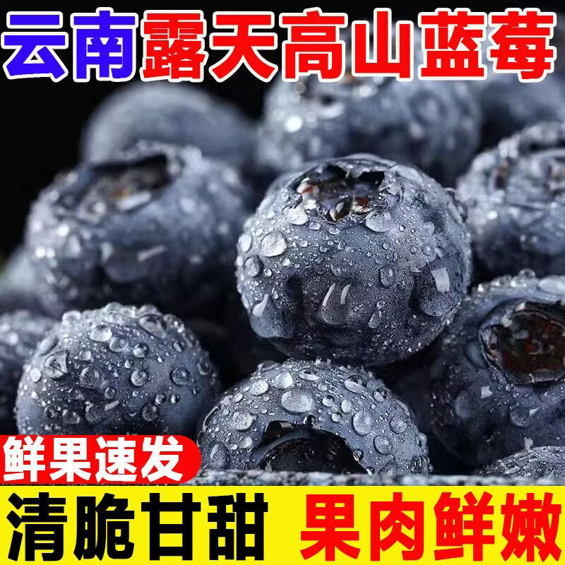 缦语【顺丰发货】云南花香蓝莓露天生态种植宝宝脆甜多汁营养健康 6盒【金标15mm+】 125g/盒【 顺丰上门 I 空运冷链】 京东折扣/优惠券