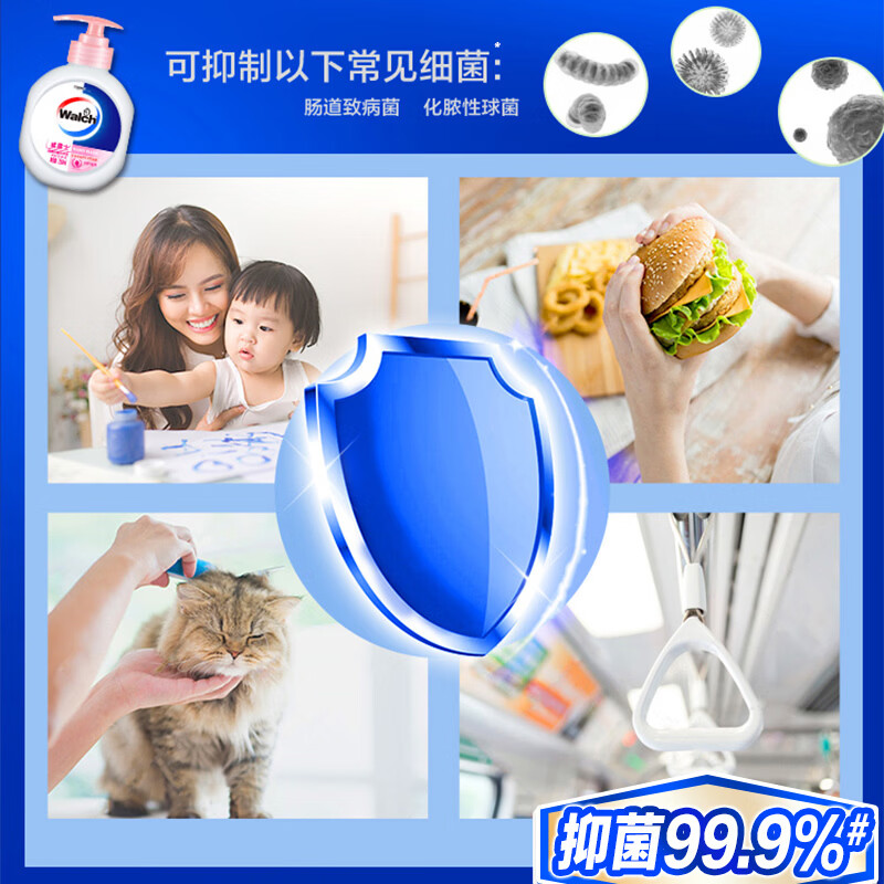 威露士健康抑菌洗手液家用套装 有效抑菌99.9% 保护家人健康 倍护滋润250ml*2瓶+250ml*4袋（补充装）