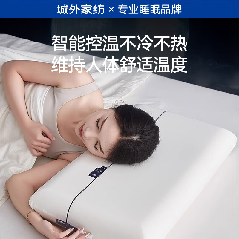 城外记忆棉枕头成人一对 枕头护颈枕睡眠颈椎病深度睡眠专用 pro枕芯 慢回弹深睡枕-10cm 单只