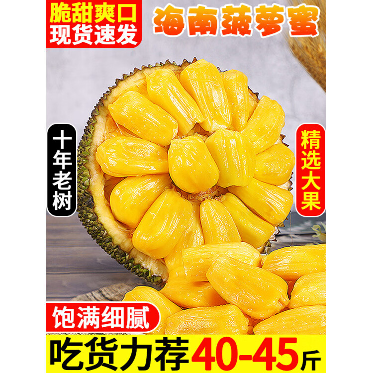 探味君胖東來(lái)同款海南菠蘿蜜新鮮黃肉菠蘿蜜45斤當(dāng)季水果波羅特產(chǎn)整箱一 0斤 【實(shí)惠裝】20-25斤