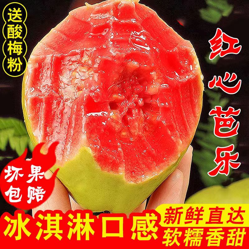 红白混搭装广西产地番石榴芭乐软心糯香甜新鲜现摘发【红心偏小】 白心芭乐1斤试吃装（贵在运费）