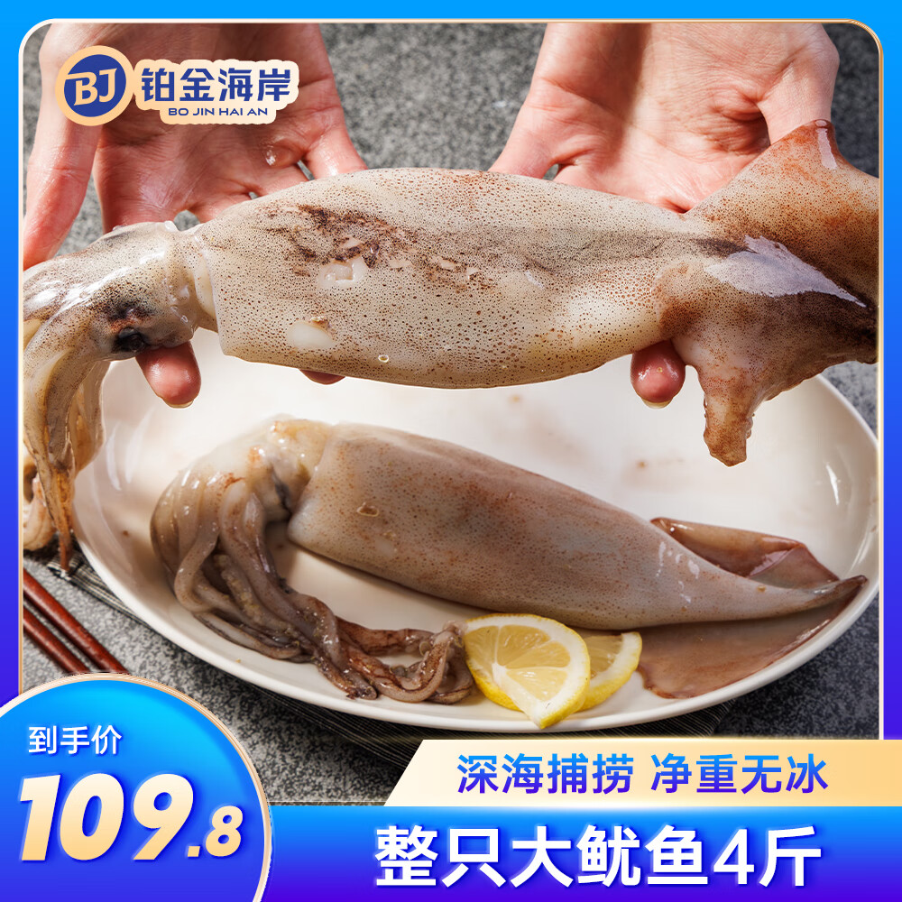 铂金海岸鱿鱼鲜冻整只大鱿鱼深海捕捞 铁板鱿鱼火锅烧烤食材 海鲜软足 整只大鱿鱼【6-8条】 4斤(净重) 