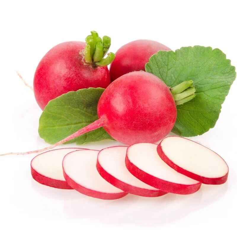 南宁产地直供樱桃萝卜新鲜红皮水果小萝卜生吃健康沙拉水果萝卜 净重9斤