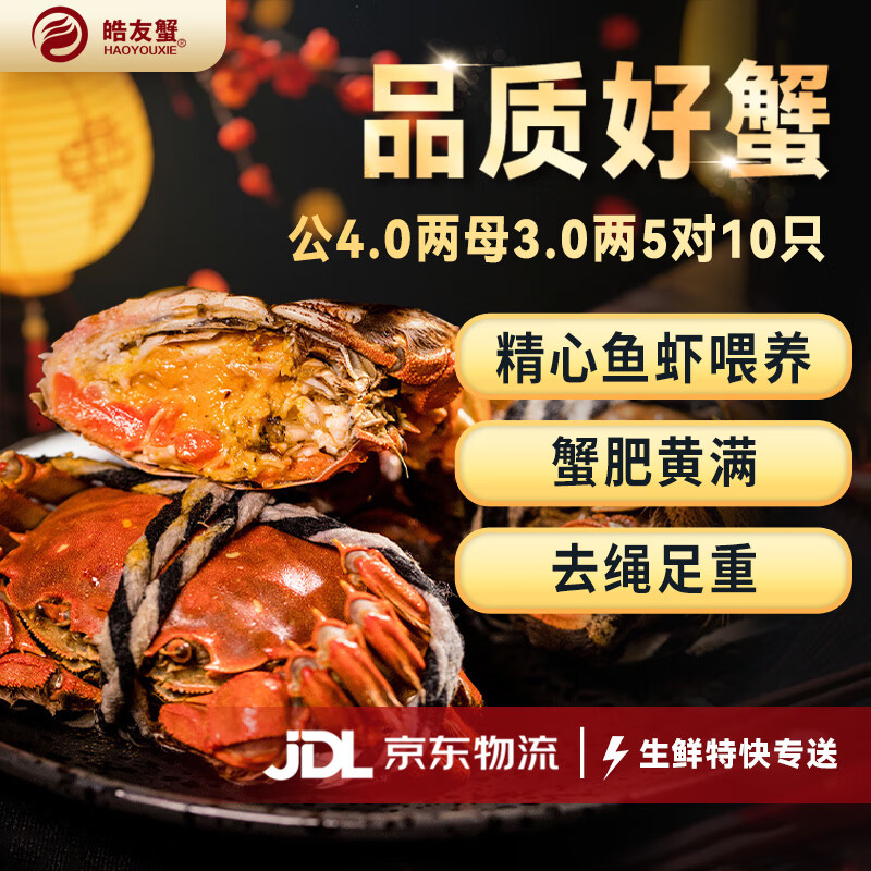 【活蟹】皓友兴大闸蟹 全母现货鲜活螃蟹生鲜海鲜中秋礼盒装 公4.0两母3.0两5对10只