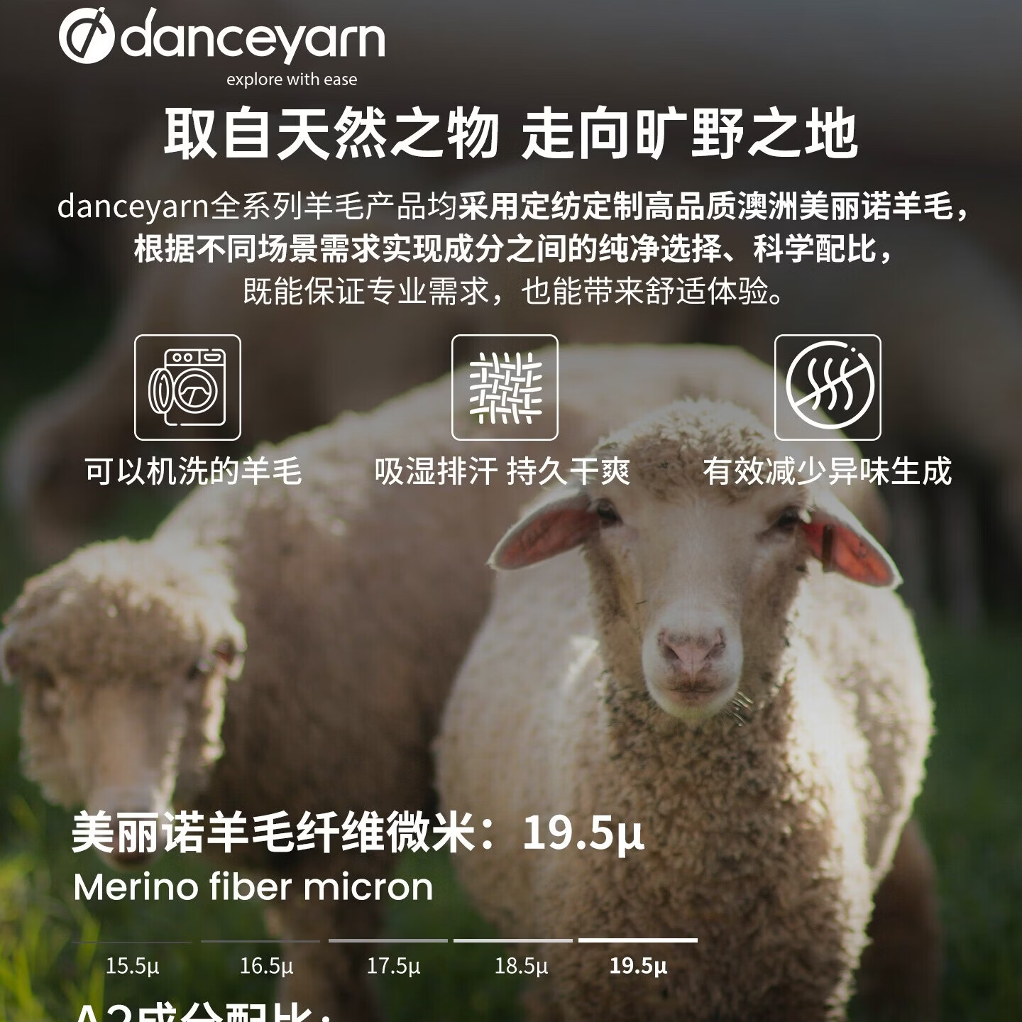DANCEYARNA2运动袜春夏轻量中筒美利奴羊毛运动跑步网球篮球透气吸湿排汗 A2月光黄 M（适合39-42码）