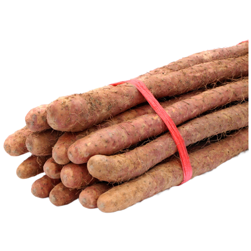 ������ �������غ��ɳ������ɽҩ 5��40-50cm ͨ�������Ŵ �߲�Դͷֱ�� 37.91Ԫ