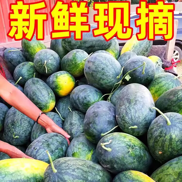 绿熊庄园【顺丰】广西黑美人西瓜新鲜现摘爆甜麒麟西瓜孕妇当季水果整箱 黑美人西瓜净重6-7斤 1枚