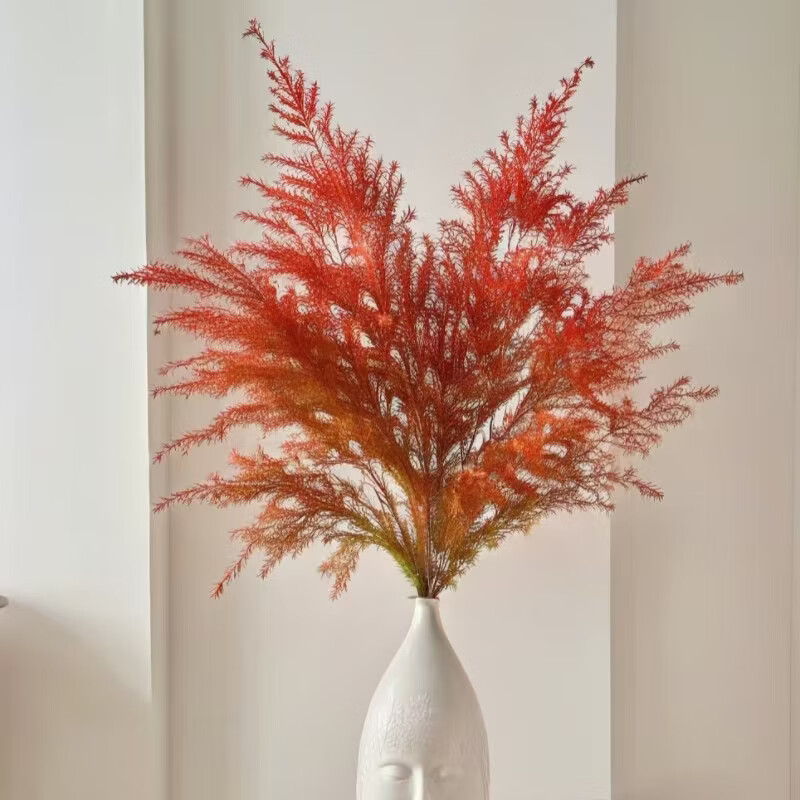 【顺丰冷链】精品A级千层金鲜花云南昆明基地直发家庭瓶插装饰 红色千层金300g/扎