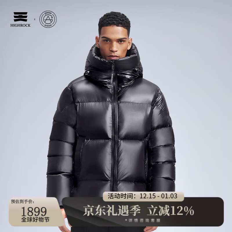 天石鹅铠甲800蓬95%白鹅绒羽绒服男士运动女加厚东北严寒2.0新品G303 黑色 （2.0版男女同款） L (175/96A)