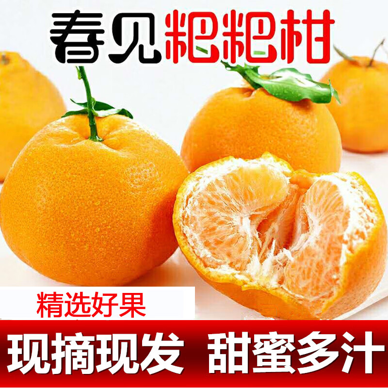 鲜苑胖胖四川春见耙耙柑现摘现发整箱新鲜水果 皮薄汁多 酸甜黄金搭配送礼 3斤特大果（75-80mm） 京东折扣/优惠券