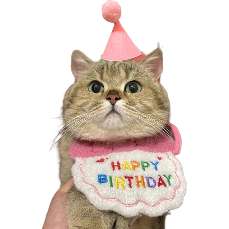 �������������ñ��Χ���ɰ�����װ�ο�ˮ����ĸΧ������Сè����װ�� �����ֳ���������װ�� �ں�����ɫΧ��+ñ�� ��ͨ����*5+������˿����*3 45.39Ԫ��3��(��15.13Ԫ/��)