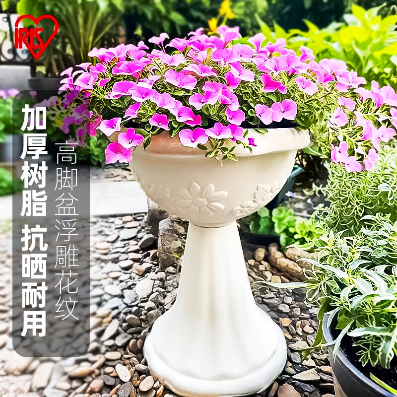 ����˼��IRIS�������ʹ�����軧��ͥԺ������֬����ŷʽ������˿�߽Ż��� 350H��ǳ��ɫ��Լ6.5L 22.87Ԫ