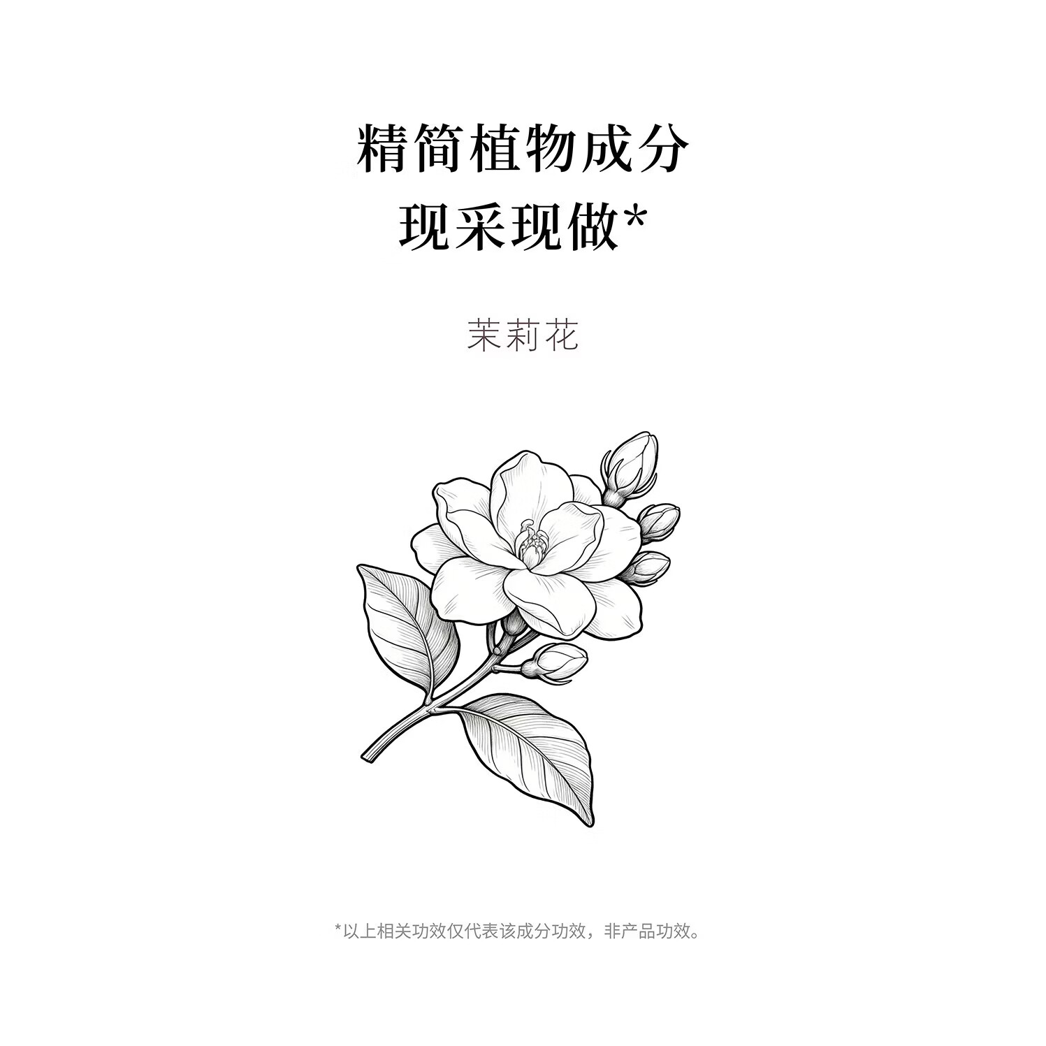 花兰槿茉莉花纯露