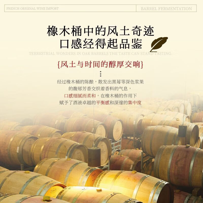 奥瑞安法国进口红酒干红葡萄酒14度图利斯多特蒙德送礼 【尝鲜款】750ML*2