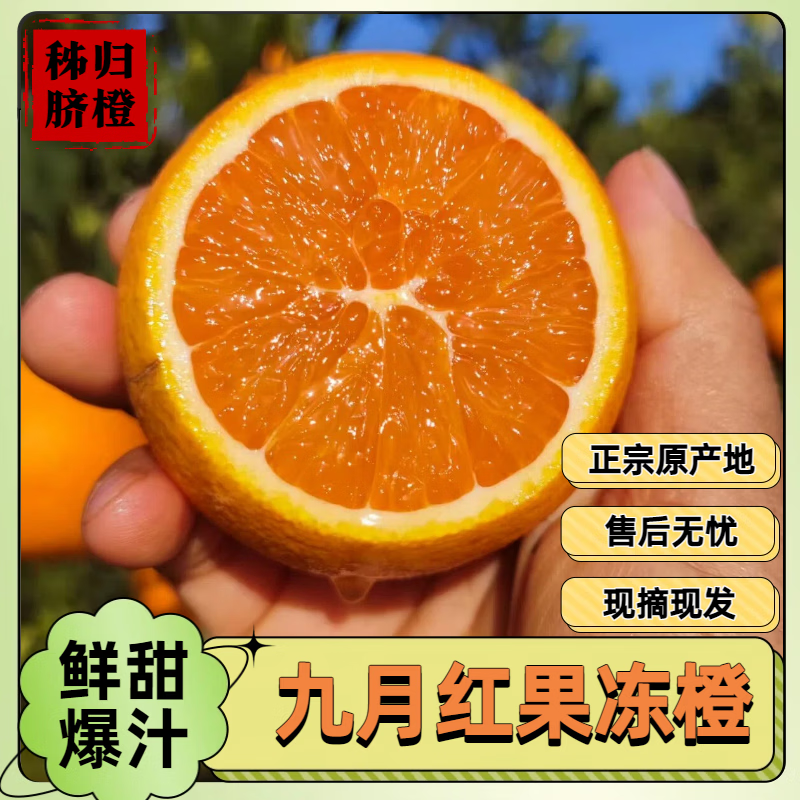 宜昌三峡特产正宗秭归九月红果冻橙新鲜应季橙子现摘现发5斤包邮 5斤大果（13个以内）