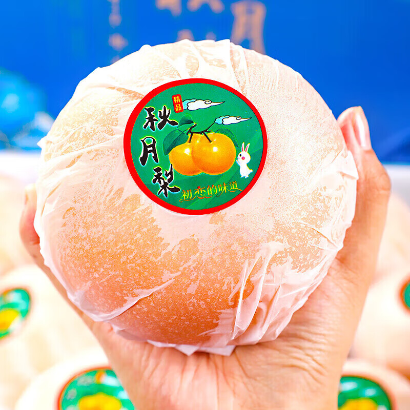 闽域寻鲜山东莱阳羊脂秋月梨应季新鲜水果礼盒送礼现摘冰糖梨子秋月梨 5斤轻享装【净重4.5斤丨约10-12枚】