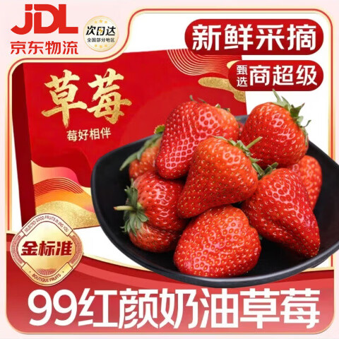 闽域寻鲜大凉山红颜草莓牛奶油草莓露天99现摘应季水果新鲜孕妇水果礼盒 2斤【单果15g+】净重1.5斤
