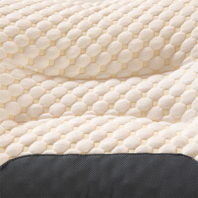 雅鹿高分弹枕头单人护颈椎枕家用学生记忆枕芯成人橡胶片助睡眠 水立方SPA枕 40*60cm 一对