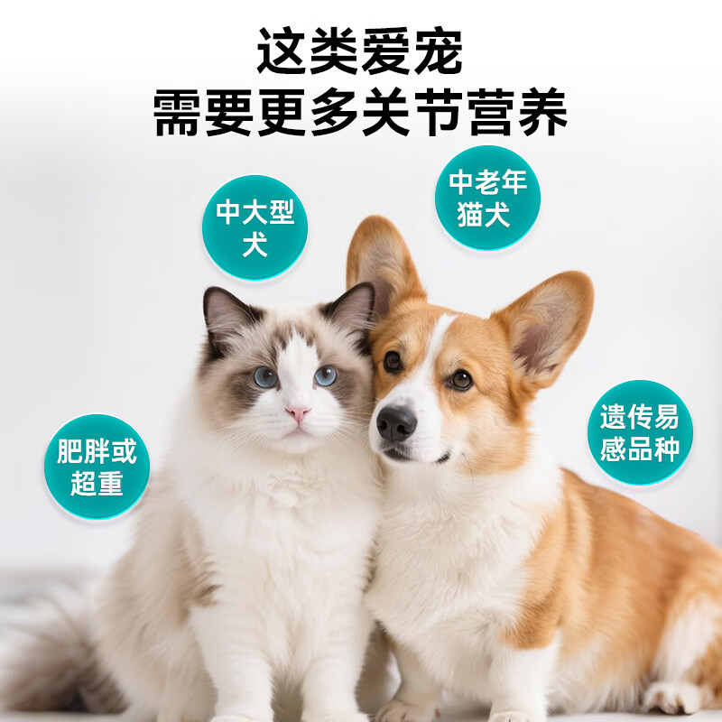 汉维宠仕 托普健45片 折耳猫狗狗鲨鱼硫酸软骨素骨关节养护关节护理
