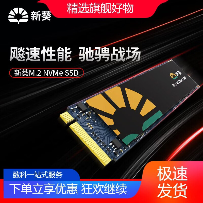 新葵新葵M.2nvme协议X8-120G128G240G256G480G固态硬盘pciessd 固态硬盘/无配件 128GB