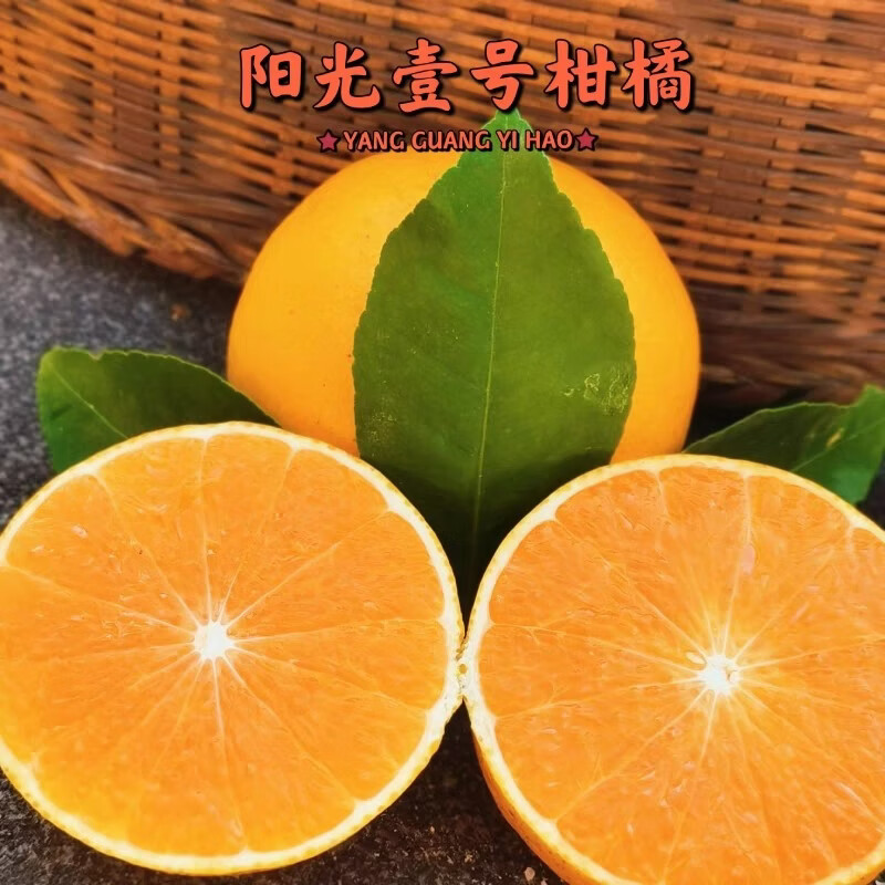 绿熊庄园正宗阳光一号桔柚水果薄皮纯甜化渣无籽当季新鲜孕妇水果整箱送礼 【小果净重5斤】单果150g+ 到15-17枚