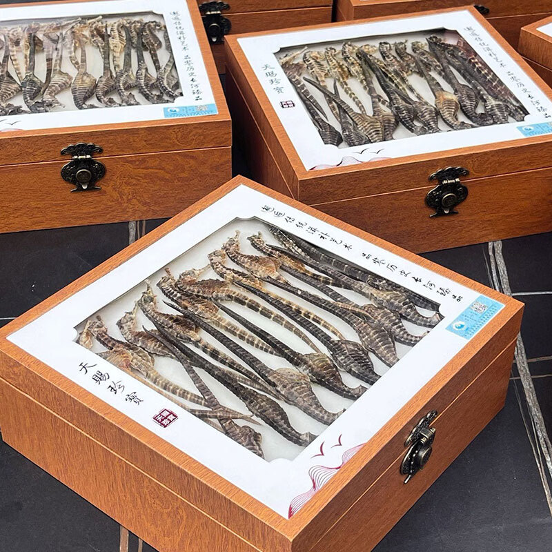 春节礼盒 海马干 礼盒 正品溯源男性补营养煲汤材料泡药酒药材 约（2-3克/条） 50g*1盒 京东折扣/优惠券