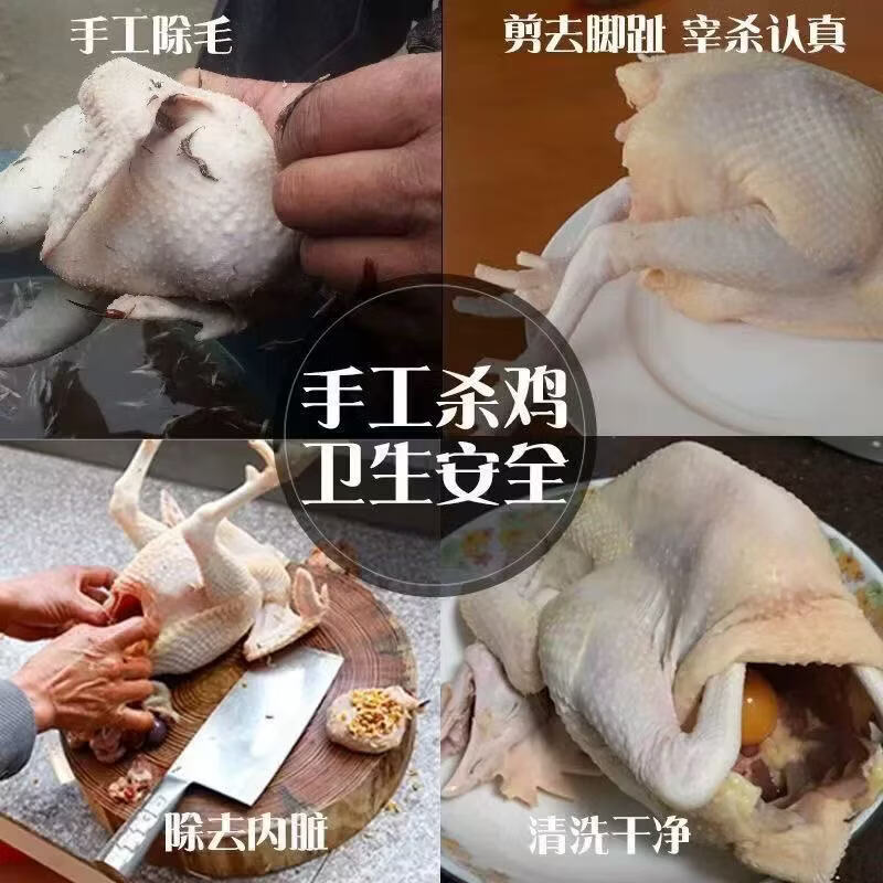 清远鸡散养广东清远鸡清远山间散养走地鸡鸡肉新鲜走地鸡 新鲜 清远鸡【1.8斤/只】*2只