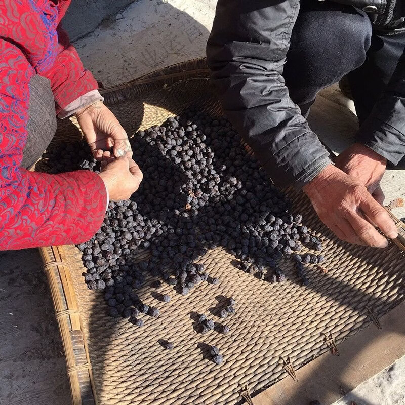 沂蒙量籽新鲜无核黑枣柿枣无核软枣黑枣小柿子黑枣圆枣 202g*1袋 沂蒙山特产店出品无干燥剂