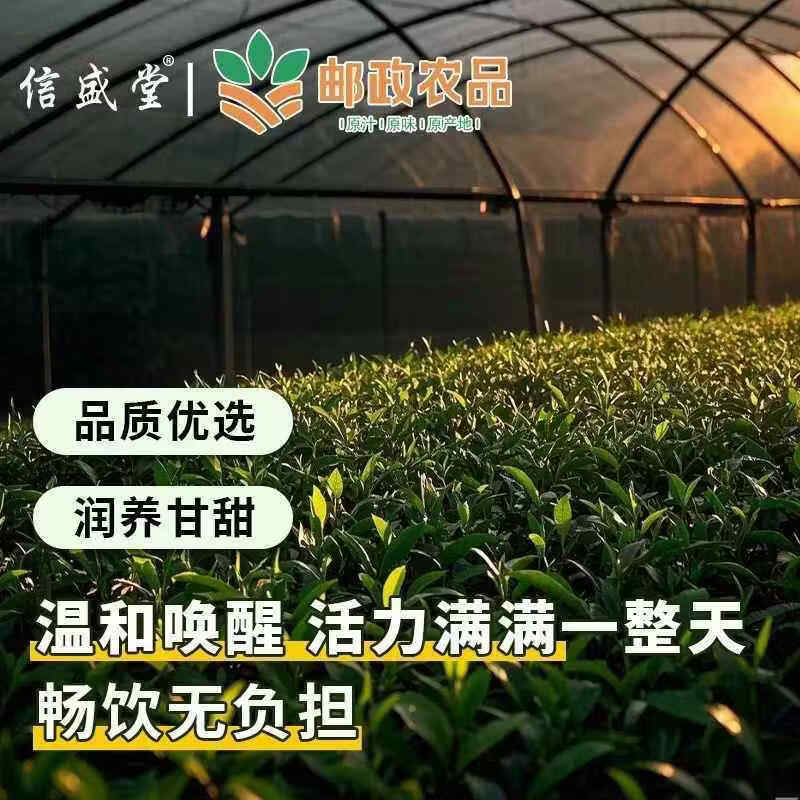 邮政农品抹茶拿铁0蔗糖0脂速溶咖啡固体饮料冲饮官方邮政优选 邮政农品(抹茶拿铁)1盒