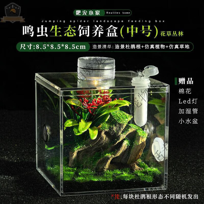 新款高透鸣虫生态盒蝈蝈盒油葫芦蛐蛐扎嘴跳蛛竹蛉螳螂昆虫盒 小号杜绝根饲养盒