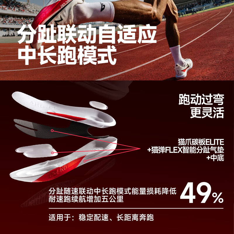 音速猫 x 北京体育大学丨觉醒2.0全掌碳板跑鞋秋冬加厚款田径训练跑步鞋 动脉 【秋冬加厚款】 42