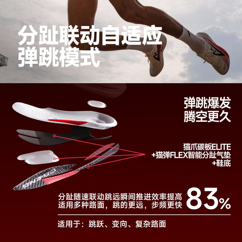 音速猫 x 北京体育大学丨觉醒2.0全掌碳板跑鞋秋冬加厚款田径训练跑步鞋 动脉 【秋冬加厚款】 42