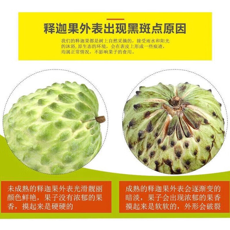 遇见悯农释迦果新鲜牛奶凤梨释迦广西番荔枝热带水果释迦节日送礼 礼盒 净重2.5斤【单果150g起】 超值花皮果