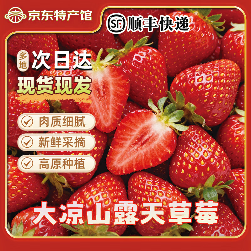 异果恋大凉山露天草莓高原红颜草莓水果礼盒现摘现发草莓礼盒装 2斤装（精选中果13g+）净重1.5斤 京东折扣/优惠券