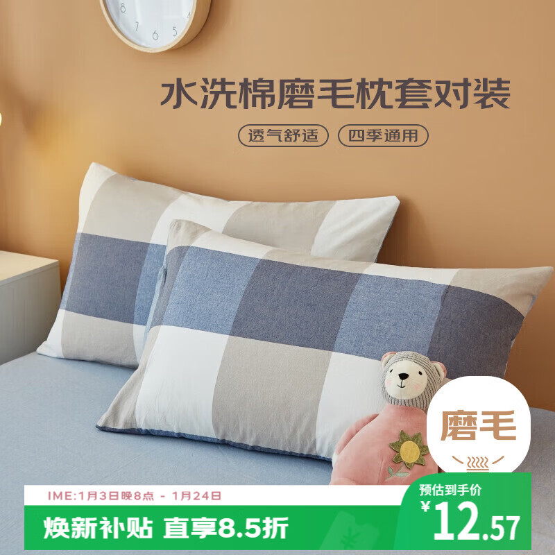 艾薇枕头套磨毛枕套一对儿童枕套卡通学生单人枕套 简兮格 48*74cm