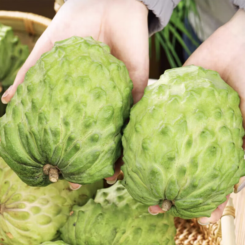 遇见悯农释迦果新鲜牛奶凤梨释迦广西番荔枝热带水果释迦节日送礼 礼盒 净重2.5斤【单果150g起】 超值花皮果