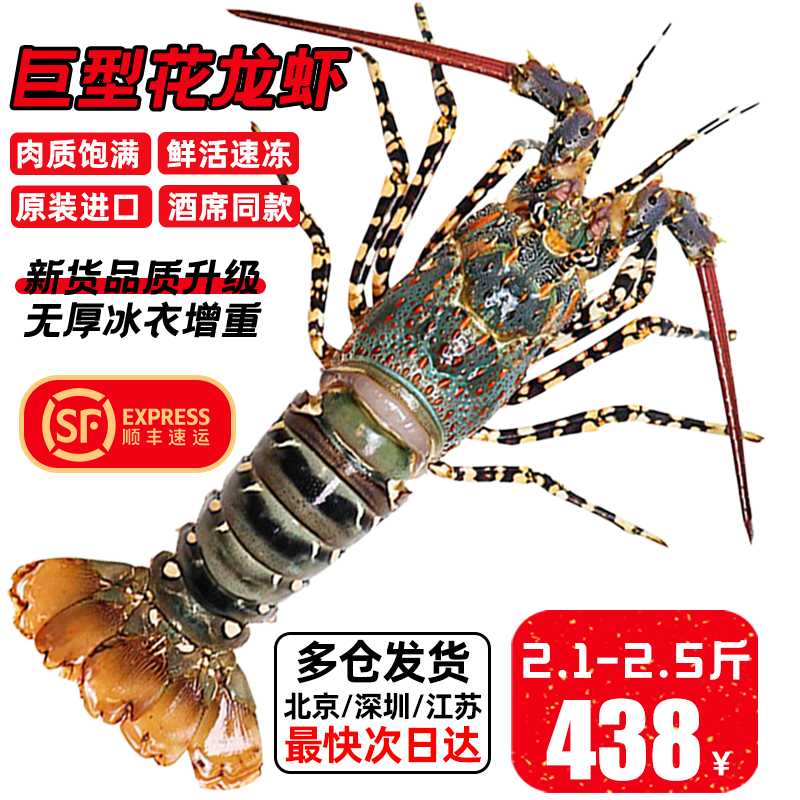 尝鲜生 大龙虾鲜活冷冻海虾小青龙超大花龙大虾年货送礼海鲜礼盒 精选大花龙（净重）2.1-2.5斤/只