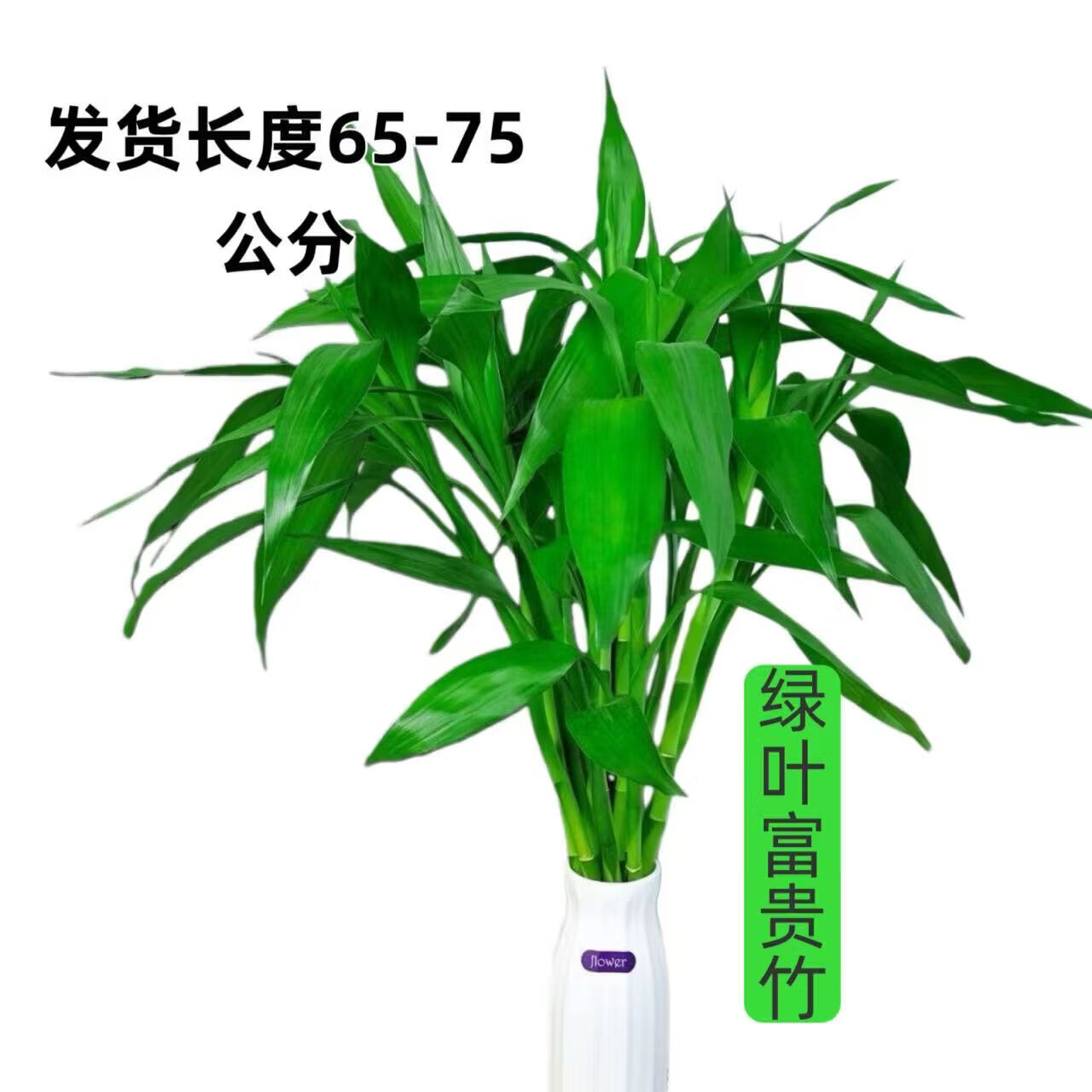 ������ ˮ����ֲ 5֧ 65cm ���ڰ칫ƿ�������� ����װ�� 4.49Ԫ/�����ʣ���1��1ʵ��8.99Ԫ����������Ʒ