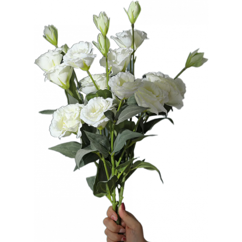 貝漢美（BHM）洋桔?；ǚ抡婊ň蛹铱蛷d餐桌花擺花花藝裝飾塑料假花花束 仿真桔梗花-白色 3支