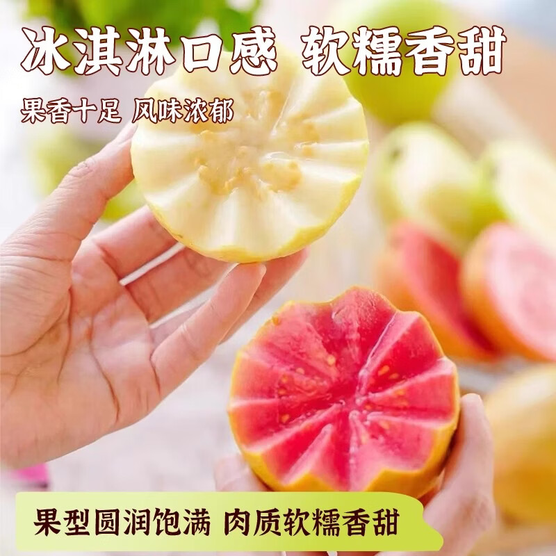 绿熊庄园广东树熟软糯红心白心奶油芭乐番石榴当季新鲜低糖水果｜京东快递 双拼红白心芭乐净重3斤