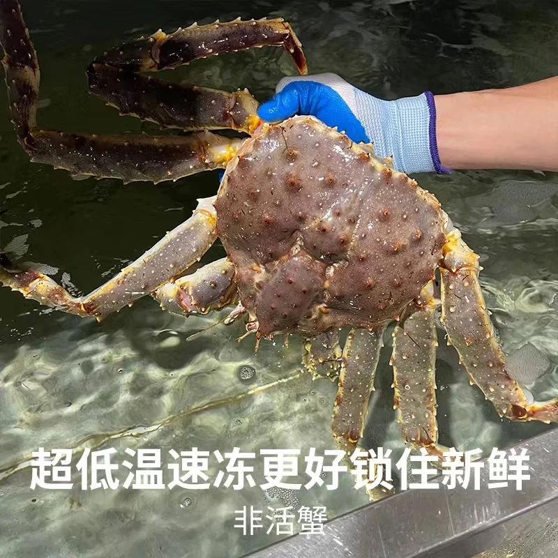 沃鲜客帝王蟹鲜活冷冻海鲜水产12斤帝皇蟹蜘蛛螃蟹年货送礼大礼包长脚蟹 活冻3-3.5斤*只帝王蟹赠送1条石斑鱼+一斤美国响螺