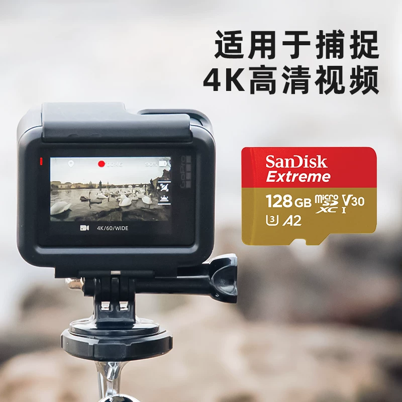 SANDISK EXTREME闪迪内存卡高速128g存储卡TF卡32g64g256g适用大疆运动相机无人机存储卡官方标配 【金卡 256g】 赠SD卡套
