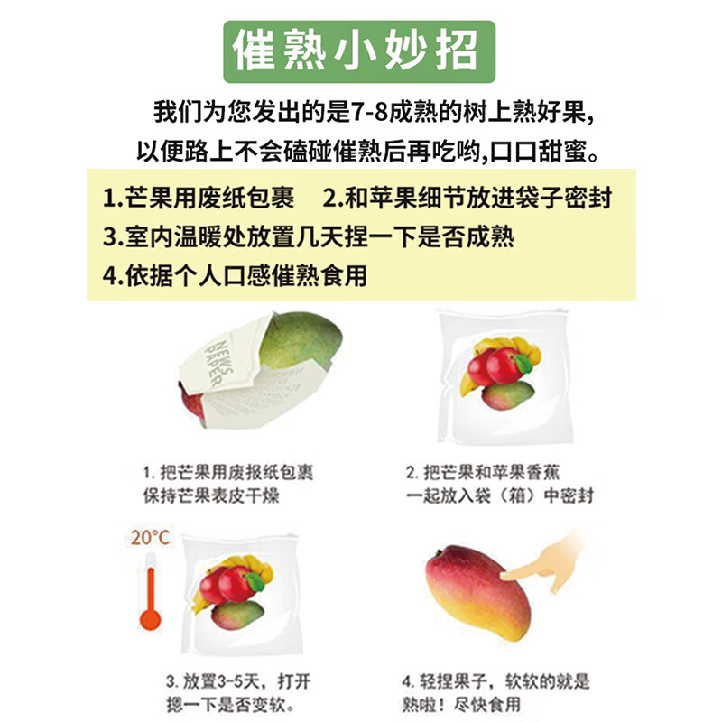 闽域寻鲜正宗玉芒现摘应季青皮芒果整箱甜心玉芒送礼热带芒果 带箱5斤【单果250-350g丨净重4.5斤】手工精选果